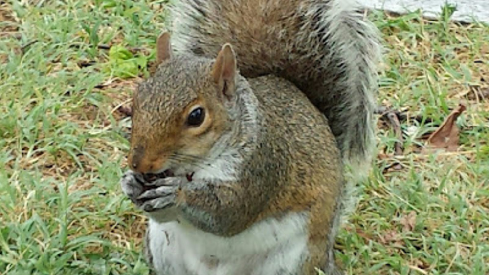 Meet your Posher, Linda